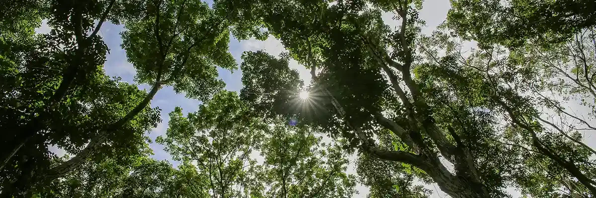 Banner_conocimiento_canalizado